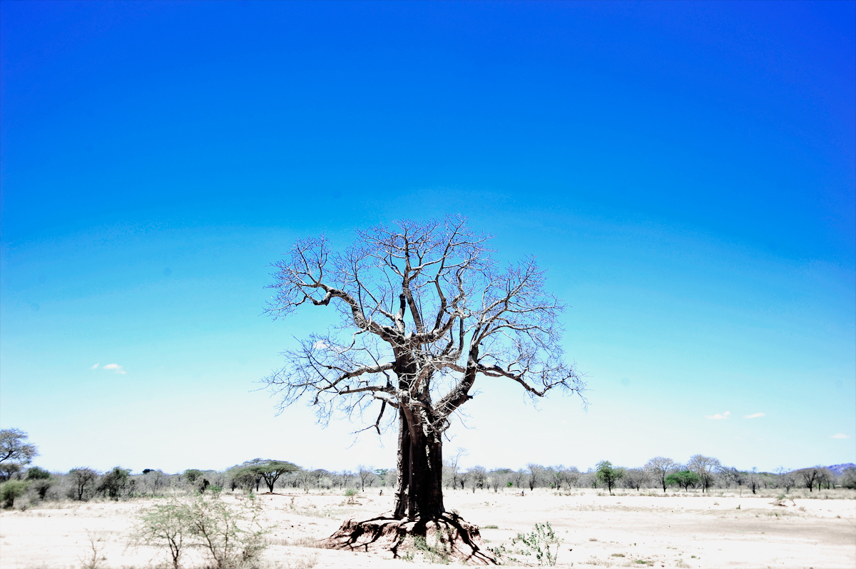 Slideshow Image 1